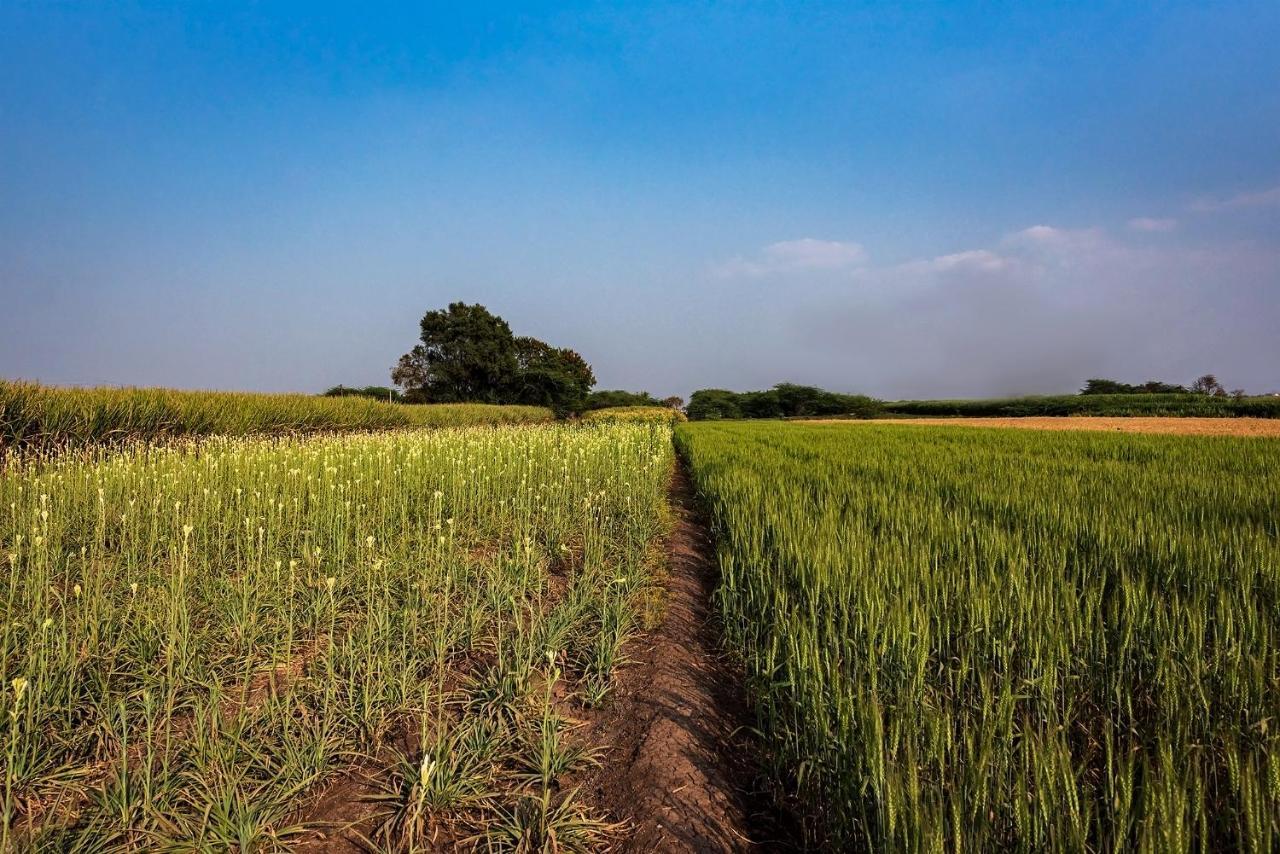 Saffronstays Happy Fields, Pune - Luxury Farmstay With Farm To Table Food Екстер'єр фото